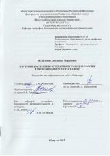 Изучение населения крупнейших городов России в школьном курсе географии
