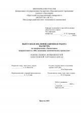 Оценка бизнес-возможностей электронной торговли в Китае