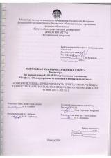 "Союз90/Зеленые": приверженность депутатов партийным ценностям на региональном, федеральном и европейском уровне (2013-2021 гг.)