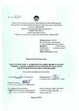 Педагогические условия воспитания любви к малой Родине у детей седьмого года жизни посредством интеграции рисования и аппликации