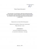 Управление стратегией развития коммерческой организации, действующей на нефтегазовом рынке (на примере ООО "Иркутская нефтяная компания", г. Иркутск)