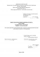 Организационно-экономические аспекты функционирования образовательного учреждения