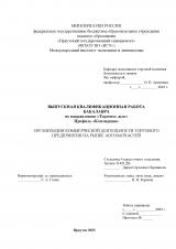 Организация коммерческой деятельности торгового предприятия на рынке автозапчастей
