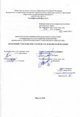 Подземный сток реки Иркут в пределах Мондинской впадины