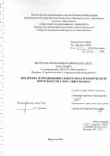 Внедрение и продвижение нового вида коммерческой деятельности в ООО "Энергосоюз"
