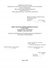 Оценка экономической эффективности розничного торгового предприятия