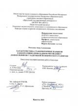 Характеристика графомоторных навыков в декоративно-прикладном рисовании у дошкольников с задержкой психического развития