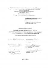 Сопровождение профессионального самоопределения старшеклассников профильных классов педагогической направленности