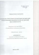 Повышение эффективности деятельности социально ориентированных некоммерческих организаций Иркутской области