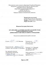 Организация адаптивно-воспитательной среды в инклюзивной практике дошкольного образовательного учреждения