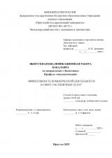 Эффективность коммерческой деятельности в сфере гостиничных услуг