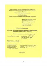 Обучение школьников изготовлению изделий в технике фриволите на внеурочных занятиях