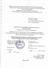 Обоснование проекта развития Иркутского областного театра кукол "Аистёнок"