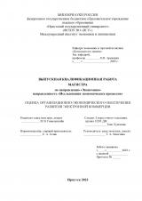 Оценка организационно-экономического обеспечения развития электронной коммерции