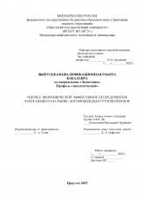 Оценка экономической эффективности предприятия, работающего на рынке автомобильных грузоперевозок