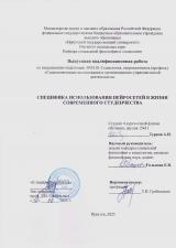 Специфика использования нейросетей в жизни современного студенчества