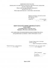 Организация функционирования коммерческого предприятия на рынке туристических услуг