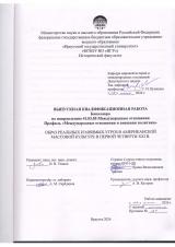 Образ реальных и мнимых угроз в американской массовой культуре в первой четверти XXI в.