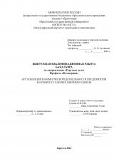 Организация коммерческой деятельности предприятия на рынке стальных дверных блоков