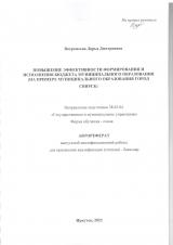 Повышение эффективности формирования и исполнения бюджета муниципального образования (на примере муниципального образования город Свирск)