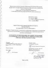 Разработка и обоснование методики управления удаленными сотрудниками на примере компании "Милана обувь и аксессуары"