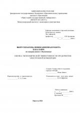 Оценка экономической эффективности предприятия электронной коммерции