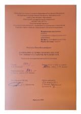 Понимание художественных текстов умственно отсталыми школьниками