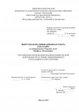 Организация функционирования коммерческой деятельности на рынке лицензионного программного обеспечения
