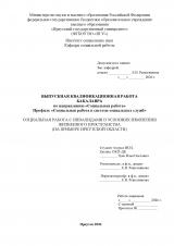 Социальная работа с инвалидами в условиях изменения жизненного пространства (на примере Иркутской области)