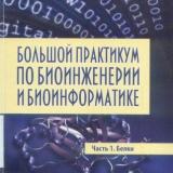 Большой практикум по биоинженерии и биоинформатике. Ч. 1. Белки