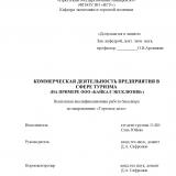 Коммерческая деятельность предприятия в сфере туризма (на примере ООО "Байкал Эксклюзив")