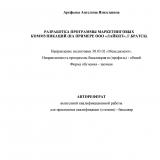 Разработка программы маркетинговых коммуникаций (на примере ООО "Лайкит", г. Братск)