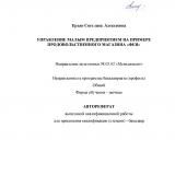 Управление малым предприятием на примере продовольственного магазина "Фея"