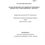 Анализ мотивации сотрудников организации на примере ГОКУ "Илирской школы–интернат"