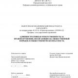 Административная ответственность за правонарушения, посягающие на общественный порядок и общественную безопасность