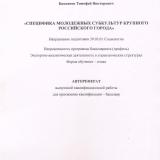 Специфика молодежных субкультур крупного российского города