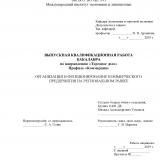 Организация и фунционирование коммерческого предприятия на региональном рынке