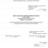  Организация и функционирование коммерческого предприятия на региональном рынке