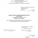 Организация и фунционирование коммерческого предприятия на региональном рынке