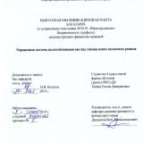 Упрощенная система налогообложения как вид специального налогового режима