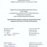 Организационно-правовые проблемы оказания бесплатной юридической помощи в Российской Федерации