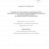 Развитие организационно-экономического механизма поддержки малого предпринимательства на региональном уровне (на примере Иркутской области)