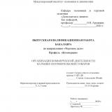 Организация коммерческой деятельности на рынке потребительских товаров