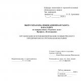 рганизация и функционирование коммерческого предприятия на региональном рынке