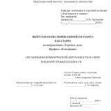 Организация коммерческой деятельности в сфере пищевой промышленности