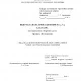 Организация коммерческой деятельности на рынке потребительских товаров