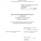 Организация коммерческой деятельности предприятия розничной торговли