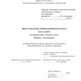 Коммерческая деятельность торгового предприятия на рынке одежды