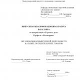 Организация коммерческой деятельности на рынке потребительских товаров