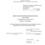 Организация и функционирование коммерческого предприятия на региональном рынке